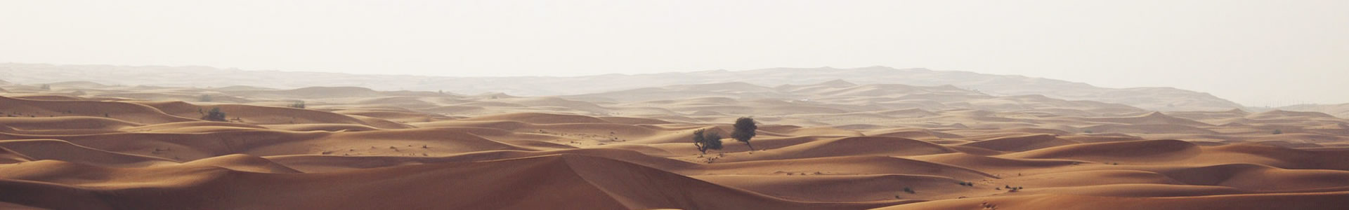 ൺɪó޹˾